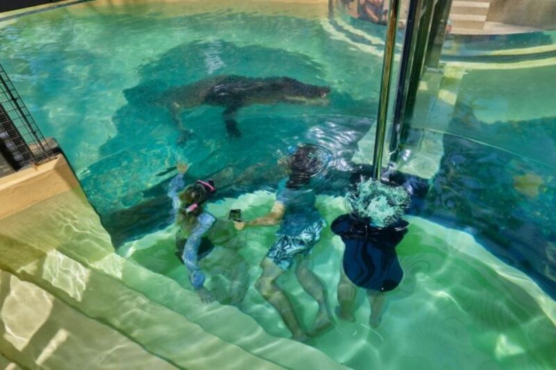 Cairns: Daintree Rainforest, Mosman Gorge, & Aboriginal Tour - Mossman Gorge Adventure