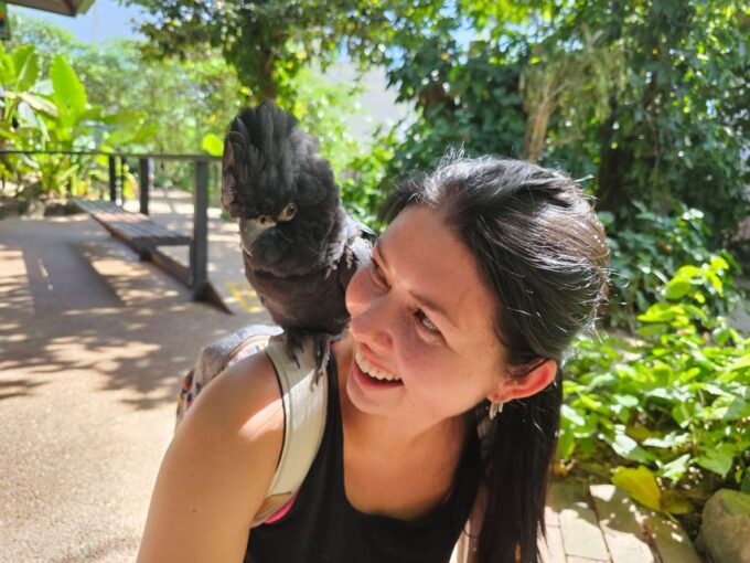 Cairns: Daintree Rainforest, Mosman Gorge, & Aboriginal Tour - Pickup and Drop-off Service