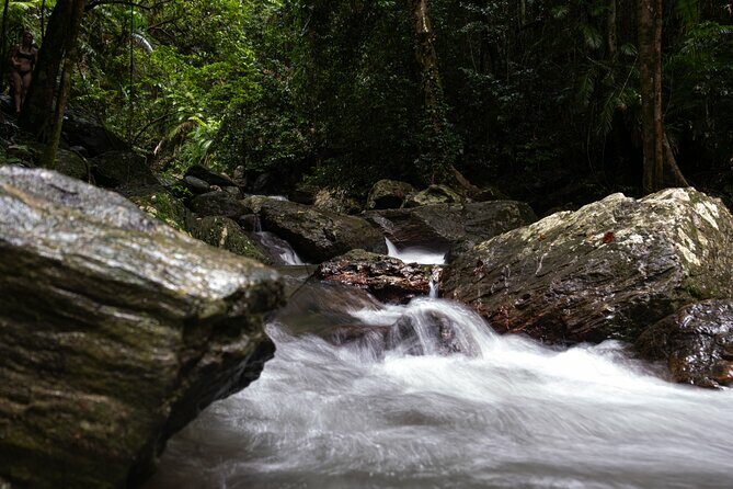 Cairns Day Tour Private Waterfall - Diving Into the Details: What to Expect from Your Day