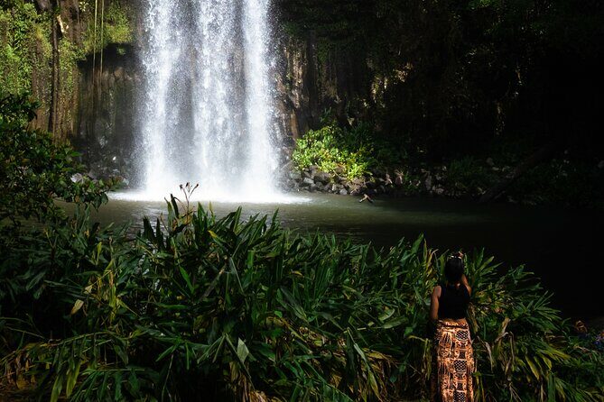 Cairns Day Tour Private Waterfall - Who Will Love This Tour?