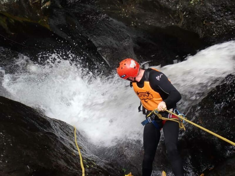 Cairns Full-Day Canyoning Adventure tour - What Makes This Tour Stand Out?
