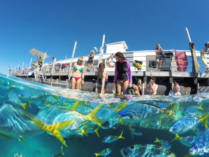 Cairns: Great Barrier Reef and Fitzroy Island Boat Tour - Additional Activities and Exclusions