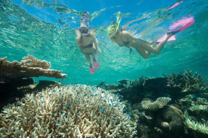 Cairns: Great Barrier Reef Cruise & Scenic Helicopter Flight - Dietary Considerations