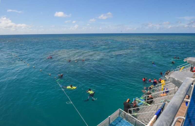 Cairns: Great Barrier Reef Cruise With Water Activities - Key Points