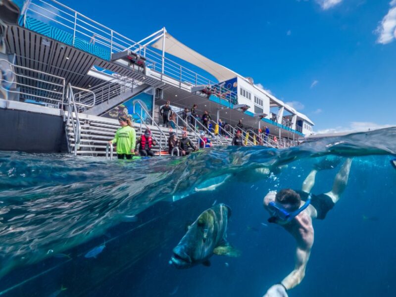 Cairns: Great Barrier Reef Cruise With Water Activities - Restrictions