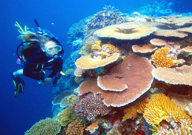 Cairns: Great Barrier Reef Cruise With Water Activities - Additional Information