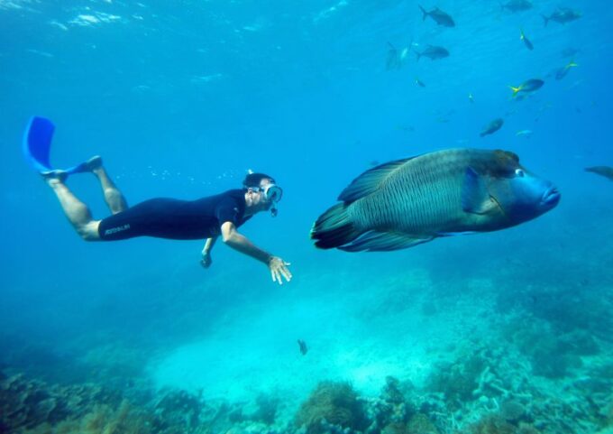 Cairns: Great Barrier Reef Cruise With Water Activities - Frequently Asked Questions