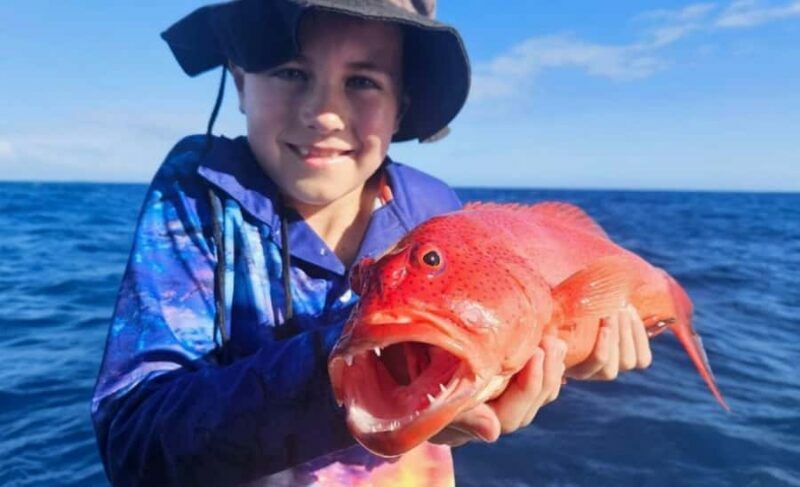 Cairns: Great Barrier Reef Fishing Charter with Lunch - An In-Depth Look at the Tour