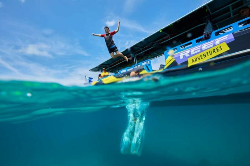 Cairns: Great Barrier Reef Half-Day Snorkelling Tour - An In-Depth Look at the Experience