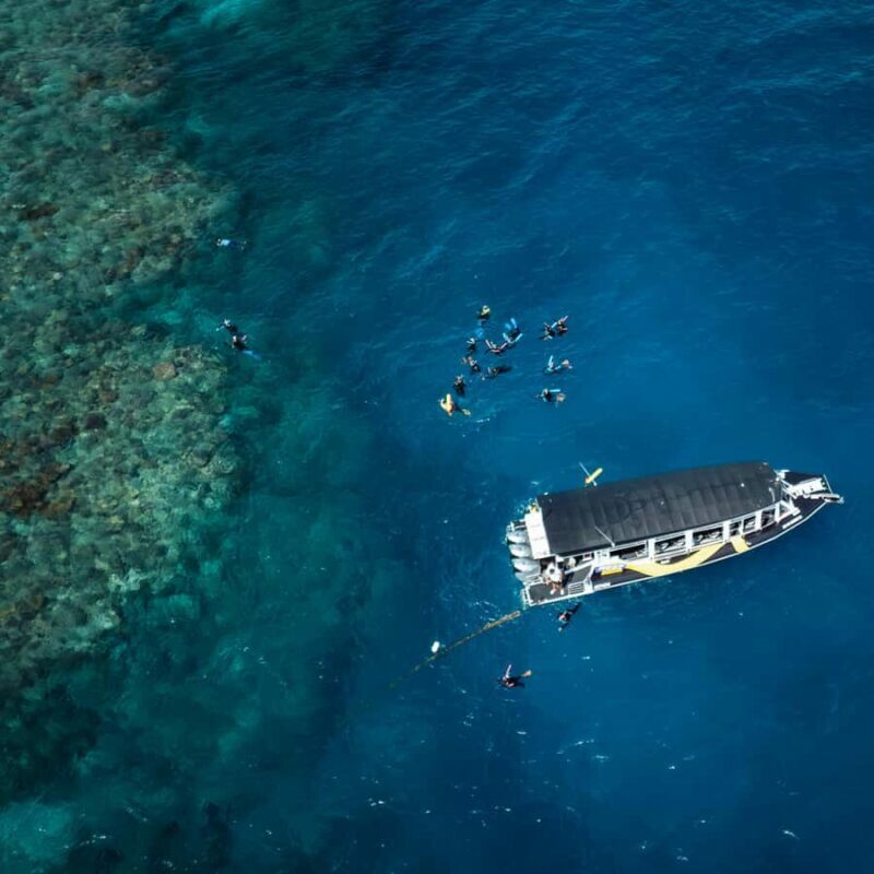 Cairns: Great Barrier Reef Half-Day Snorkelling Tour - The Sum Up