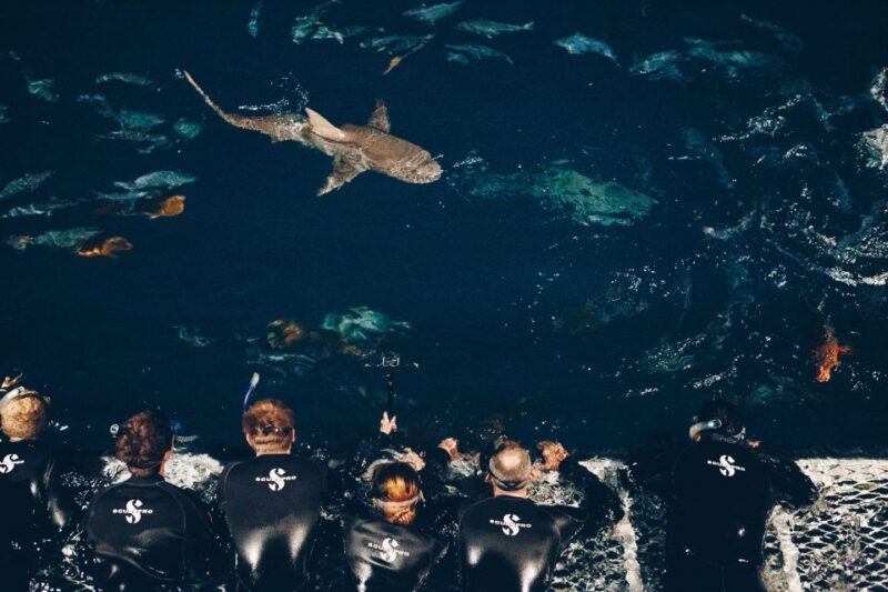 Cairns: Great Barrier Reef Overnight Snorkeling Boat Trip - Exclusions