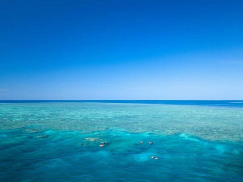 Cairns: Great Barrier Reef Overnight Snorkelling Boat Trip - An In-Depth Look at the Cairns Reef Overnight Trip