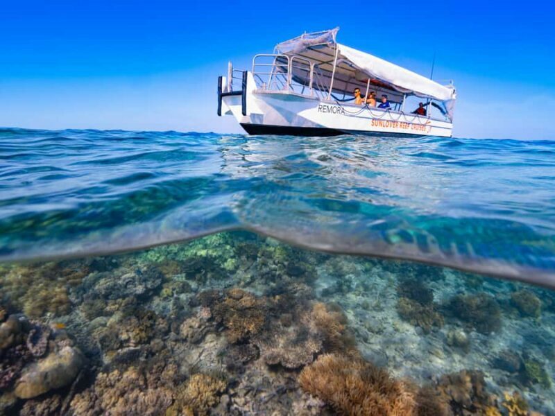 Cairns: Great Barrier Reef Pontoon, Travel by Helicopter - What Travelers Say