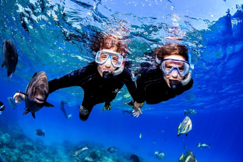 Cairns: Great Barrier Reef Scuba Diving Tour - Amenities and Extras
