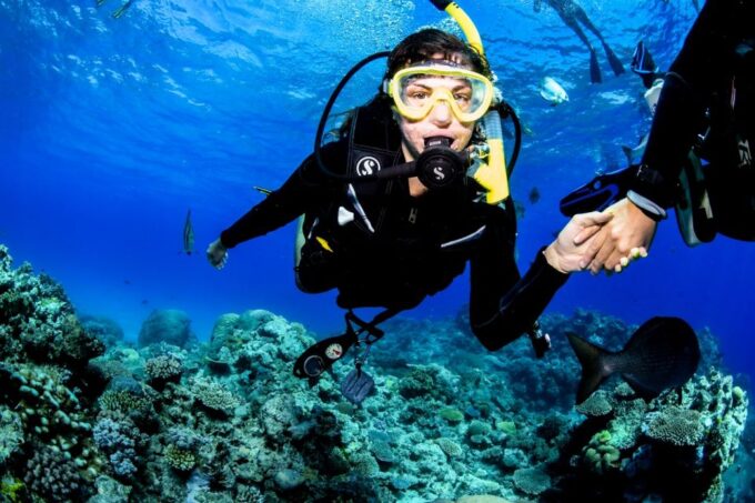 Cairns: Great Barrier Reef Scuba Diving Tour - Arrival and Check-in