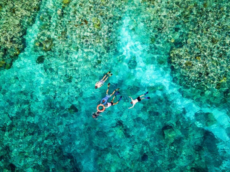 Cairns: Great Barrier Reef Snorkeling or Dive Tour and Lunch - Key Points