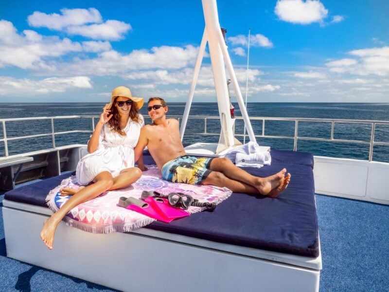 Cairns: Great Barrier Reef Snorkeling or Dive Tour and Lunch - Meeting Point and Departure Time
