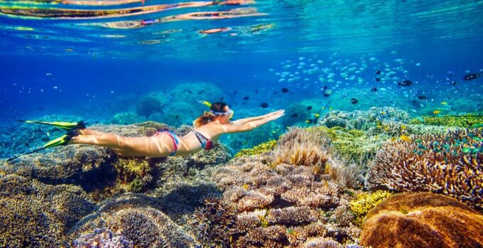 Cairns: Great Barrier Reef Snorkeling or Dive Tour and Lunch - Meals and Refreshments