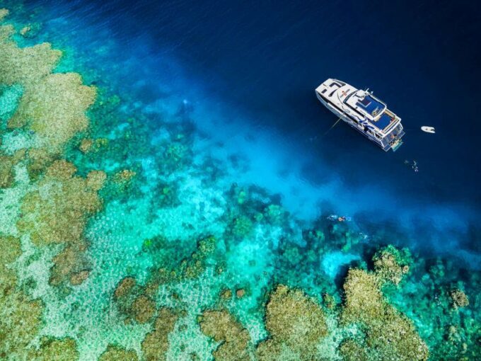 Cairns: Great Barrier Reef Snorkeling or Dive Tour and Lunch - Additional Information