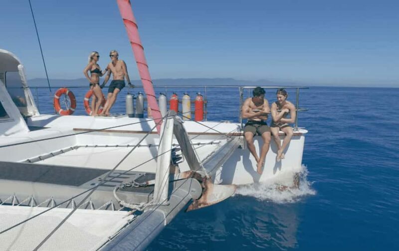 Cairns: Great Barrier Reef Snorkeling Tour with Lunch - An Honest Look at the Reef Snorkeling Tour