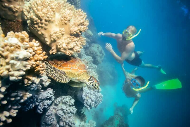 Cairns: Green Island and Seawalker Helmet Dive Combo - FAQs