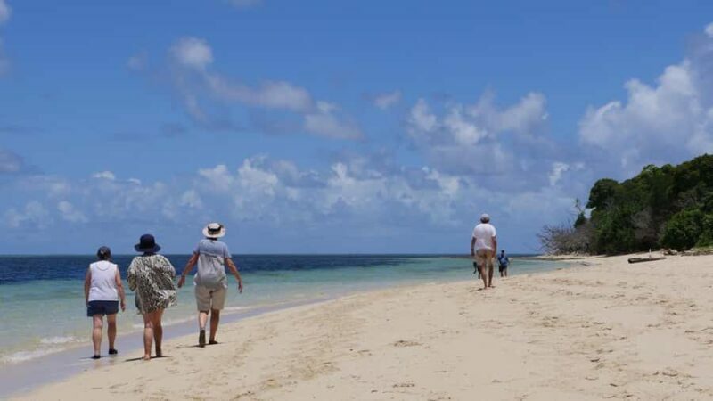 Cairns: Green Island & Great Barrier Reef Sailing Tour - The Bottom Line