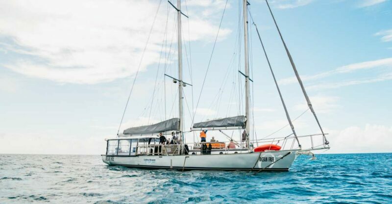 Cairns: Green Island & Great Barrier Reef Sailing Tour - FAQ