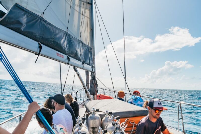 Cairns: Green Island & Great Barrier Reef Sailing Tour - Key Points