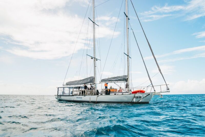 Cairns: Green Island & Great Barrier Reef Sailing Tour - Personalized Snorkeling and Diving Experiences