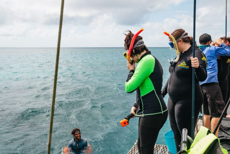 Cairns: Green Island & Great Barrier Reef Sailing Tour - Sailing Experience on Return Journey