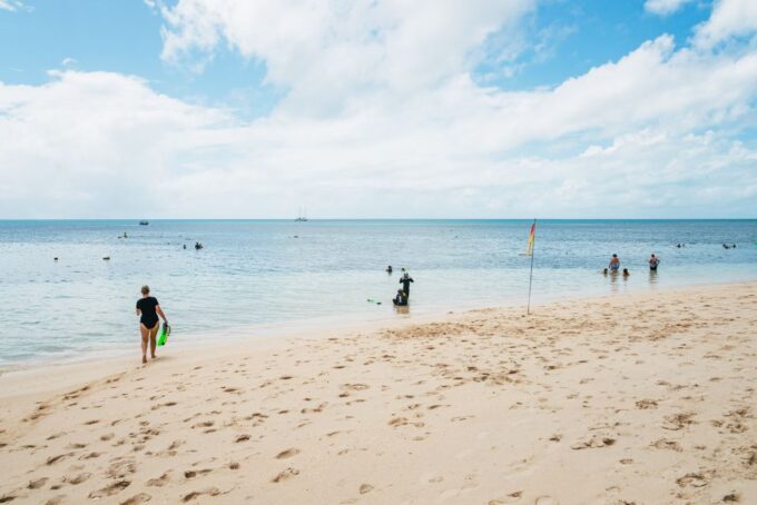 Cairns: Green Island & Great Barrier Reef Sailing Tour - Diving Options Available