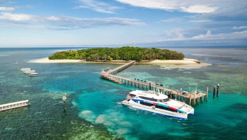 Cairns: Green Island + Moore Reef Activity Platform Combo - Key Points