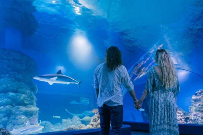 Cairns: Guided Twilight Tour of the Aquarium - Customer Reviews