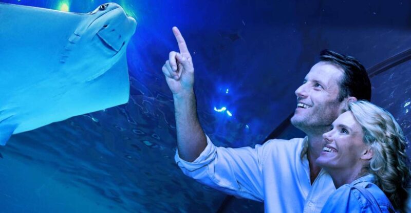 Cairns: Guided Twilight Tour With 3-Course Dinner - Tour Highlights