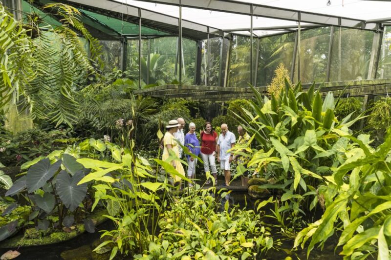 Cairns: Half-Day City Sightseeing Tour - Tour Details