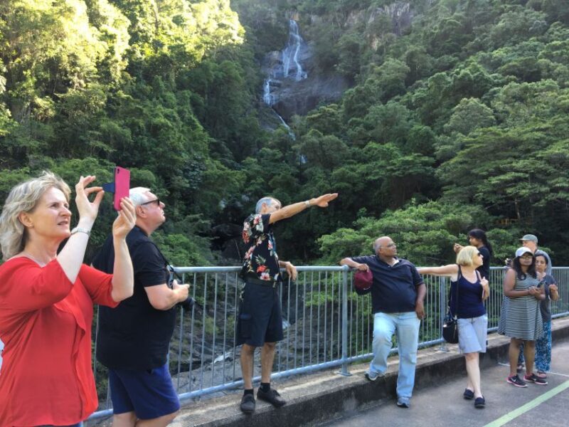 Cairns: Half-Day City Sightseeing Tour - Important Information