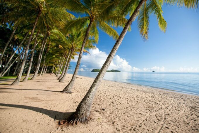 Cairns: Half-Day City Sightseeing Tour - Pickup and Duration