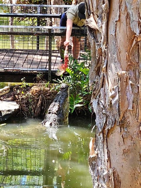 Cairns: Hartleys Crocodile Adventures Transfers and Return - Key Points