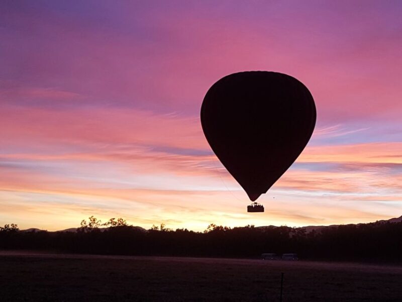 Cairns: Hot Air Balloon Flight With Transfers - Birds-Eye View of Rainforest