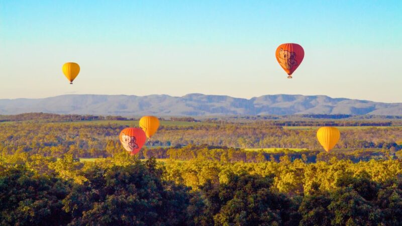 Cairns: Hot Air Balloon Flight With Transfers - Sparkling Wine and Light Breakfast