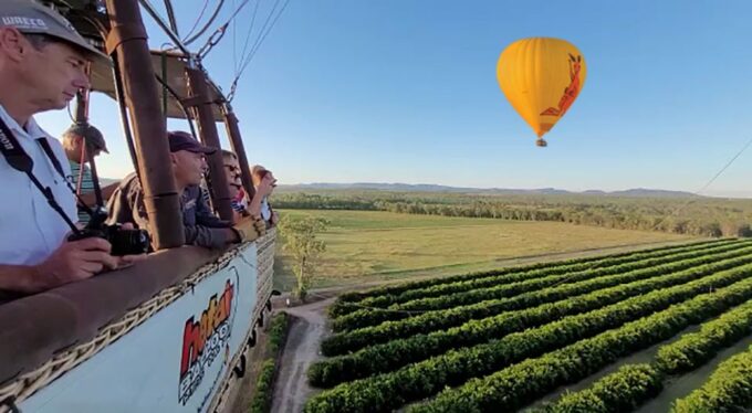 Cairns: Hot Air Balloon Flight With Transfers - Restrictions and What to Bring