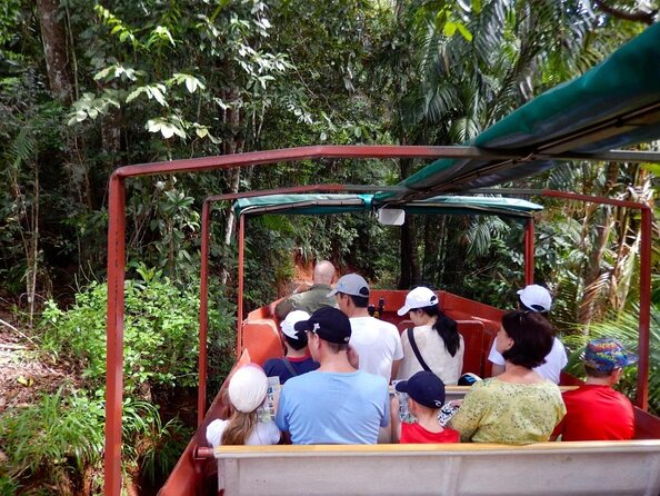 Cairns Kuranda Skyrail and Railway Tour - Transportation and Transfers