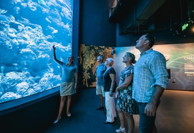 Cairns: Night at the Aquarium Guided Tour & 2 Course Dinner - Key Points