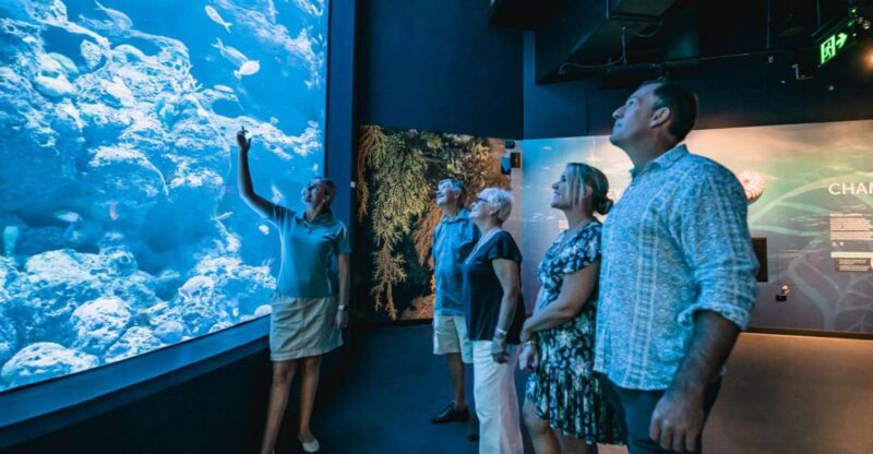 Cairns: Night at the Aquarium Guided Tour & 2 Course Dinner - Rare Nocturnal Rainforest Animal Encounters