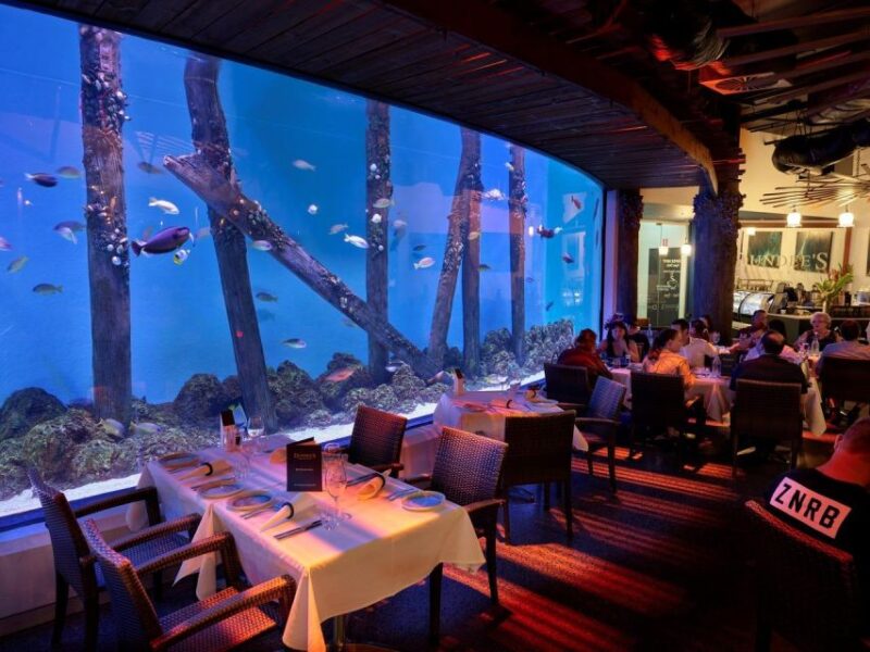 Cairns: Night at the Aquarium Guided Tour - Guided Tour Details