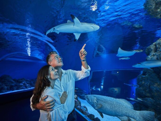Cairns: Night at the Aquarium Guided Tour - Recap