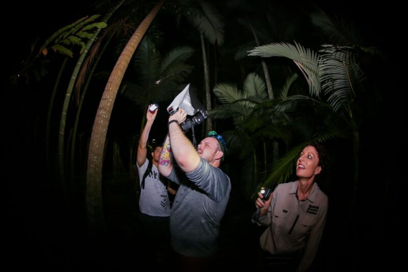 Cairns: Night Walk in Cairns Botanic Gardens - Key Points