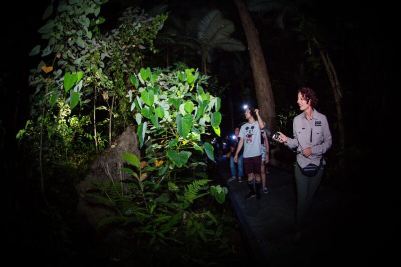 Cairns: Night Walk in Cairns Botanic Gardens - Customer Feedback