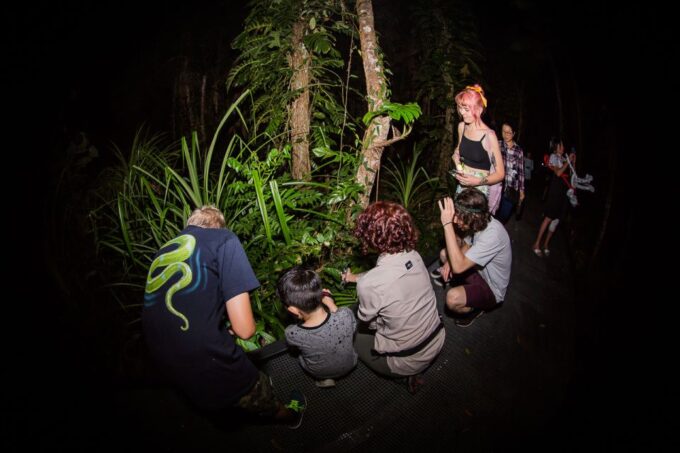 Cairns: Night Walk in Cairns Botanic Gardens - Itinerary Highlights