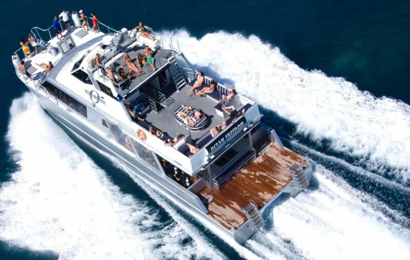 Cairns: Outer and Coral Cay Snorkel and Dive Cruise - Key Points